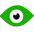 Bird Eye View